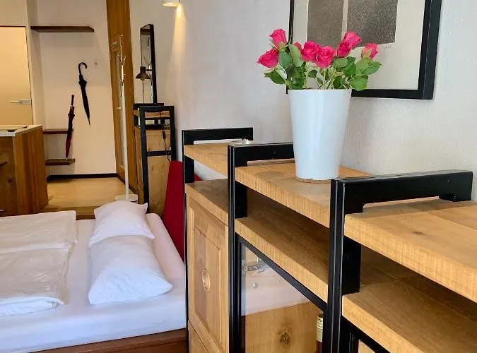 Daire Im Herzen Der Passauer Altstadt Passau